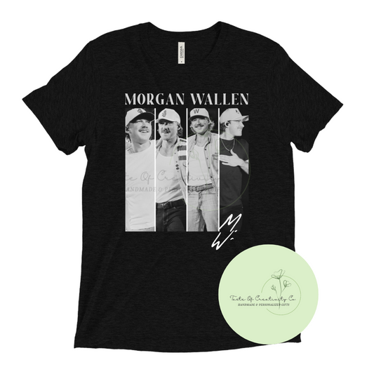 Wallen Panels T-Shirt, Western T-Shirt, Country Apparel, Disco Cowgirl Collection